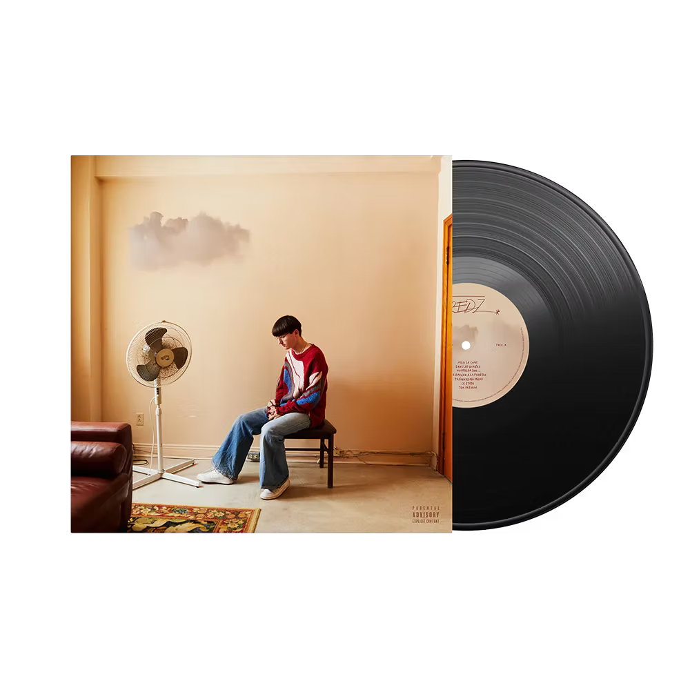 Vinyle "Demain il fera beau"
